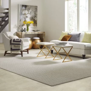 Area rug | Carpet Direct Flooring